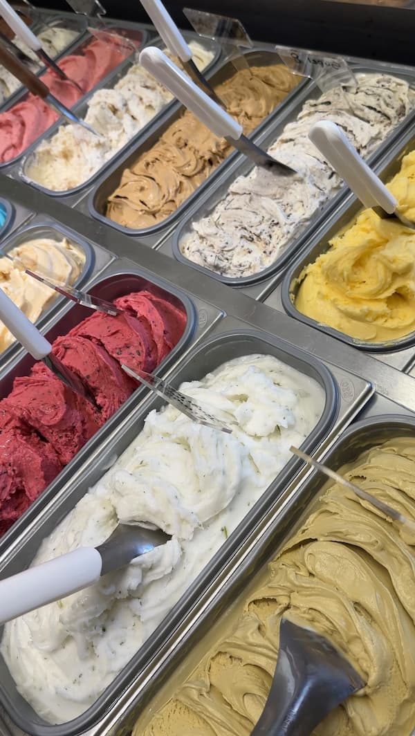 Vitrina de sabores de gelato artesanal